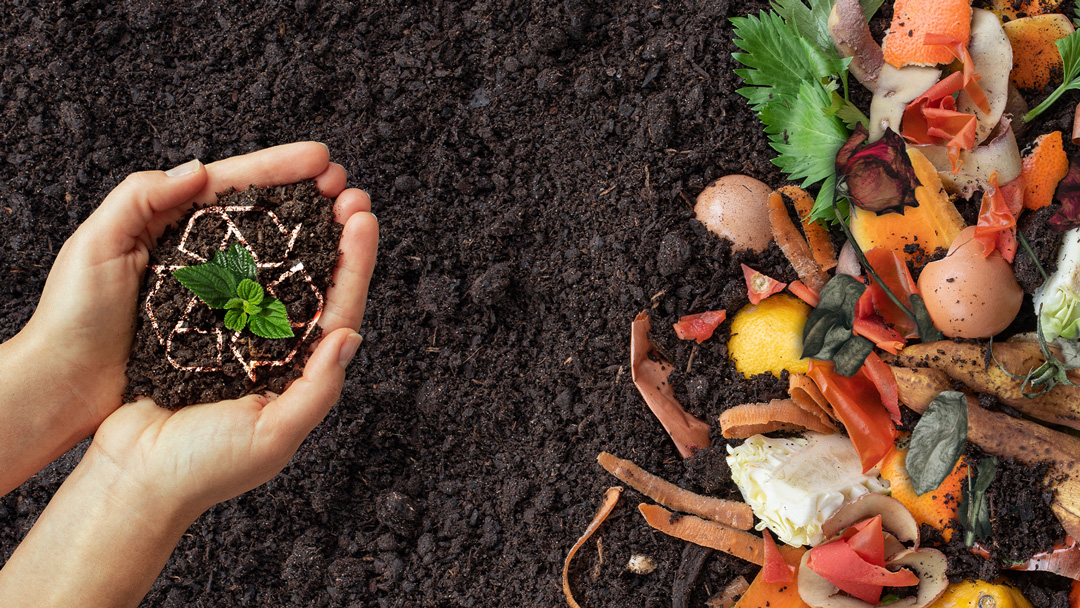 A visual comparison of food waste in landfills vs. composted soil