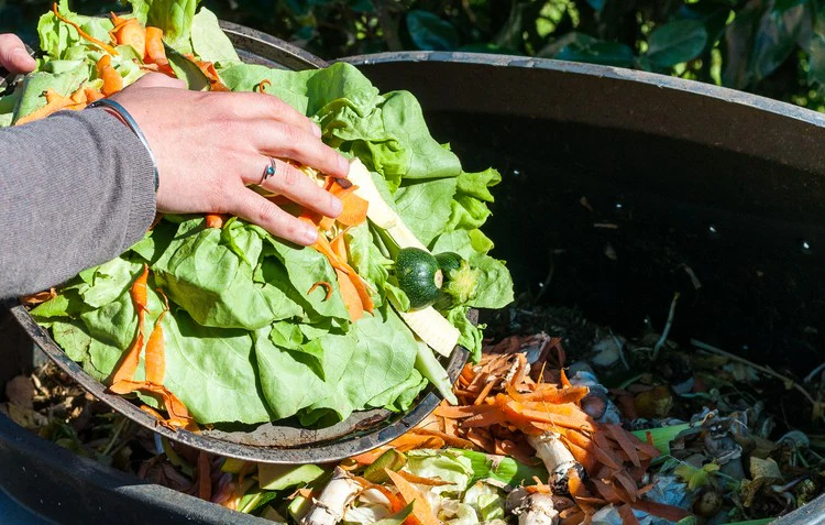 Composting's impact on Sustainable Development Goals